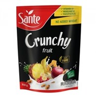 SANTE CRUNCHY OWOCOWE 350g /14/