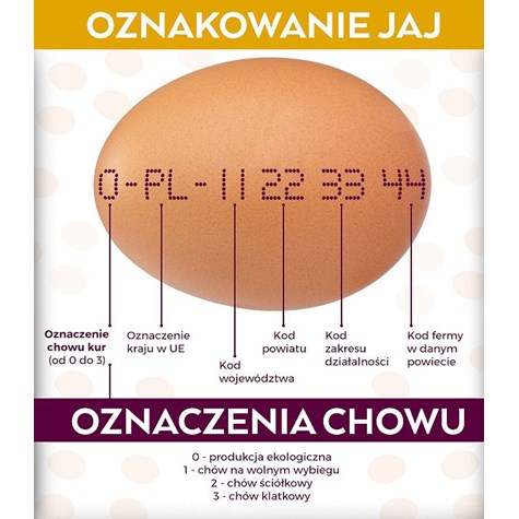 JAJA1 LUZ WOLNY WYBIEG 63g-73g karton 180 szt L