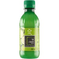 DE CARE SOK Z LIMONKI 250ml /12/