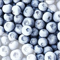 DANEX BORÓWKA AMERYKAŃSKA 1kg /10/