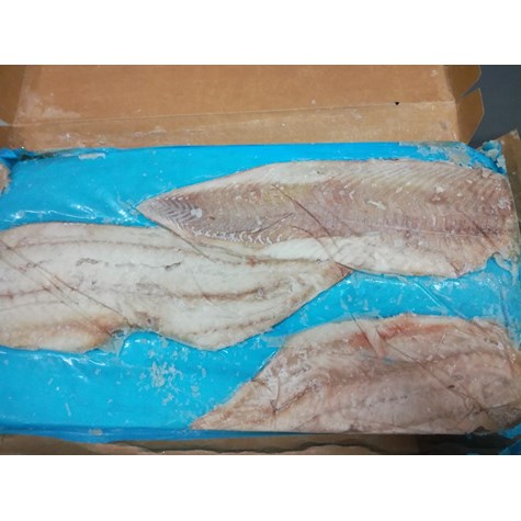 GREEK TRADE DORSZ CZARNIAK FILET 6,81kg B/SK 8-16 SHP