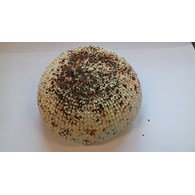 SER Z KORYCIN BRUSCHETTA ok. 3kg