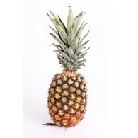 ANANAS ZŁOTY GRUBY