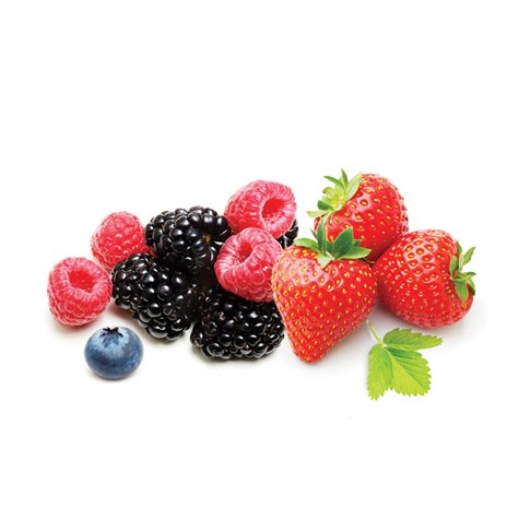 APETITTO MIESZANKA KOMPOTOWA BEZ PESTKI PREMIUM 2,5 KG /4/