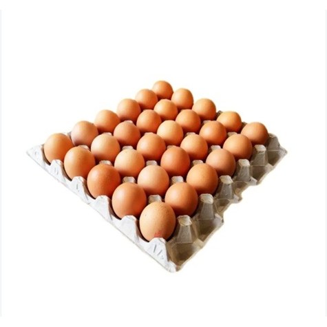 JAJA Z CHOWU KLATKOWEGO ROZMIAR L 30 SZT.