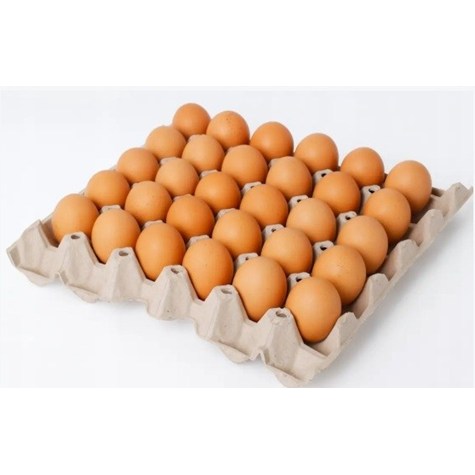 JAJA KURZE Z CHOWU W ULEPSZONYCH KLATKACH L 30SZT.